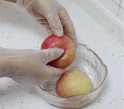 一次性PVC手套加厚透明装洗碗剥虾外卖S码送皮筋